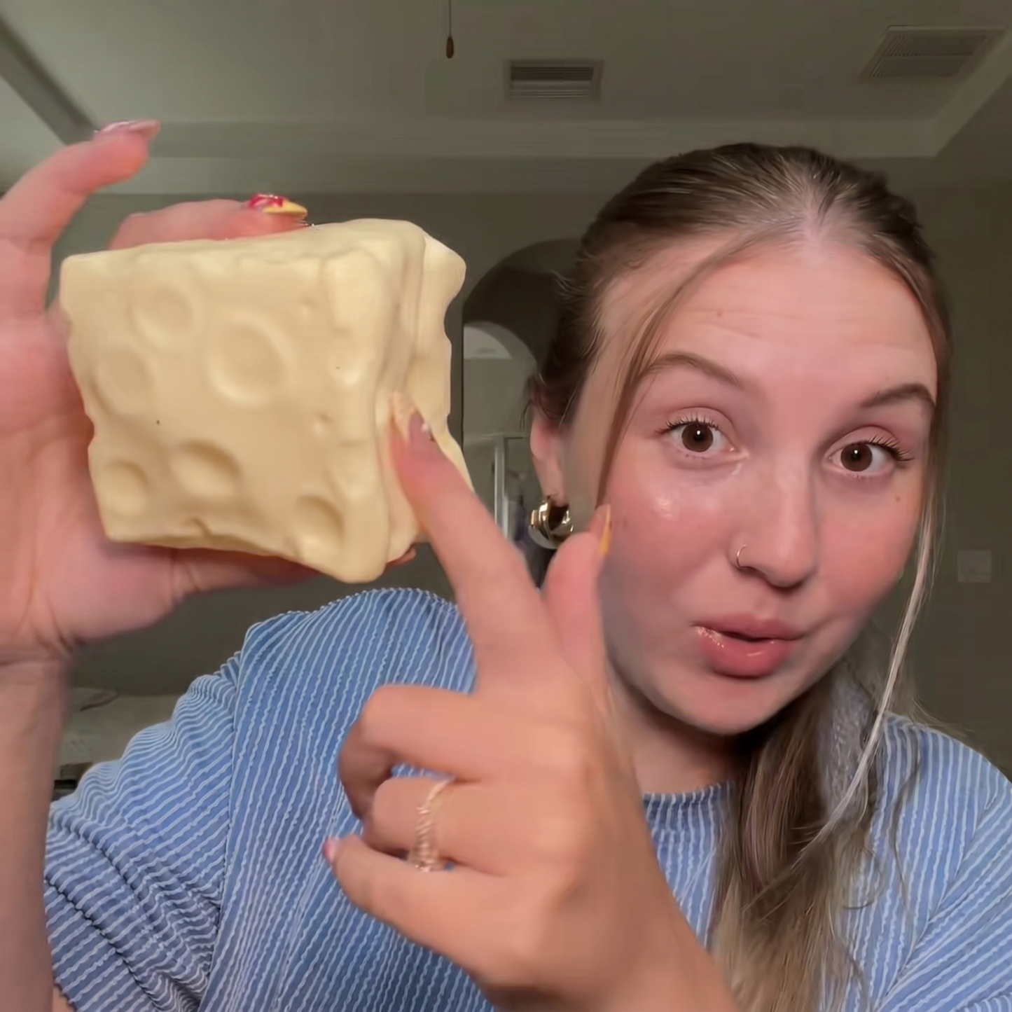 Cheese Block Squishy