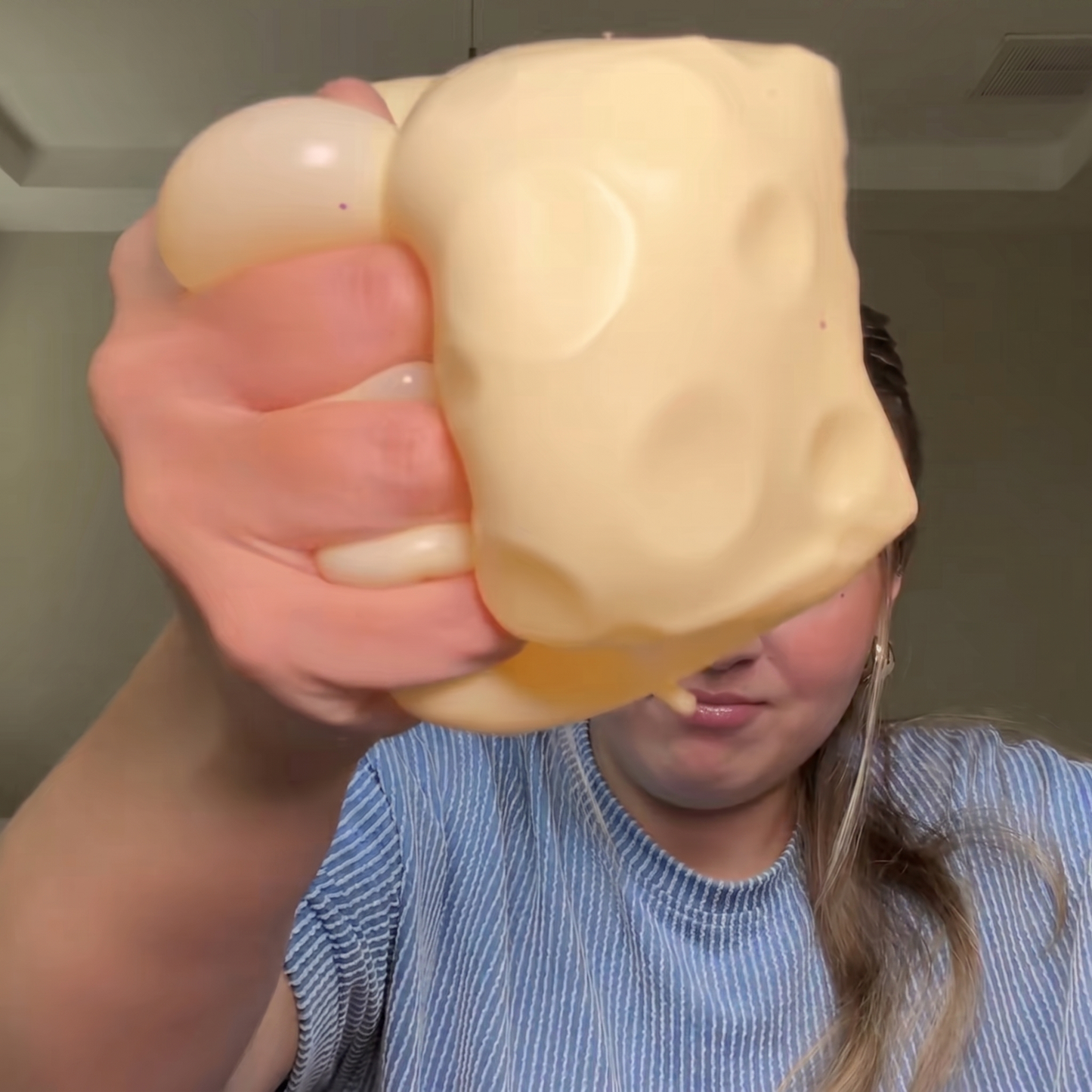Cheese Block Squishy