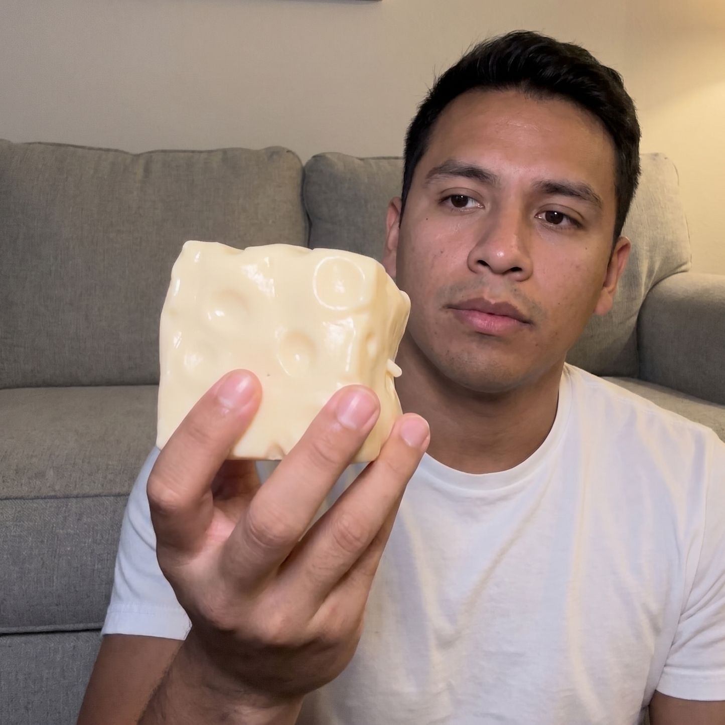 Cheese Block Squishy